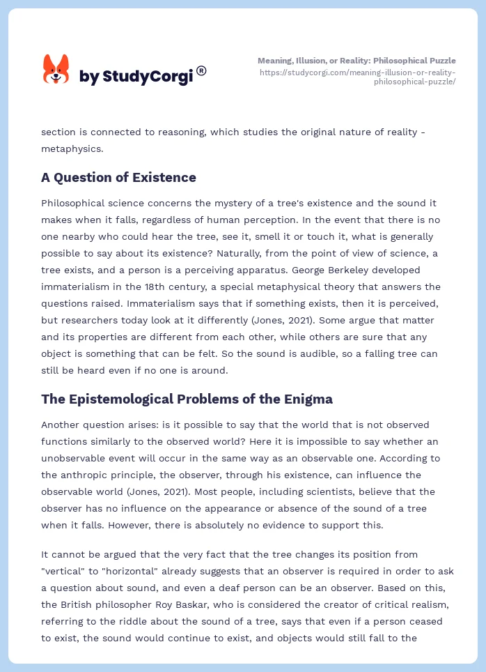 Meaning, Illusion, or Reality: Philosophical Puzzle. Page 2