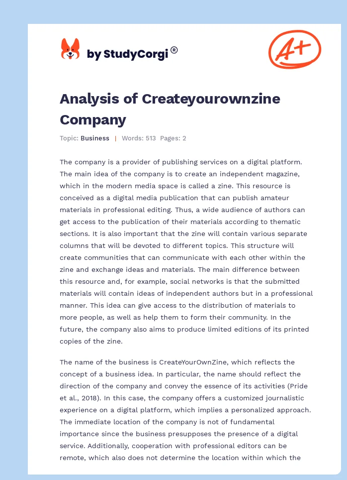 Analysis of Createyourownzine Company. Page 1