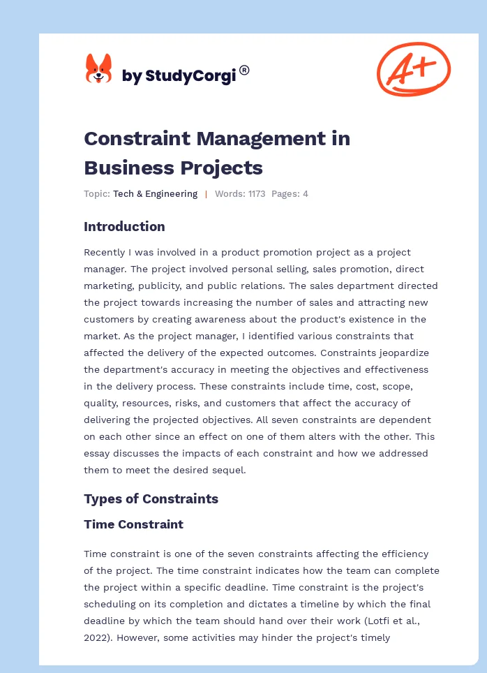 Constraint Management in Business Projects. Page 1