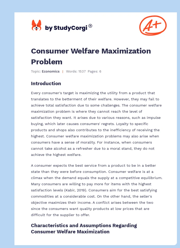 Consumer Welfare Maximization Problem. Page 1