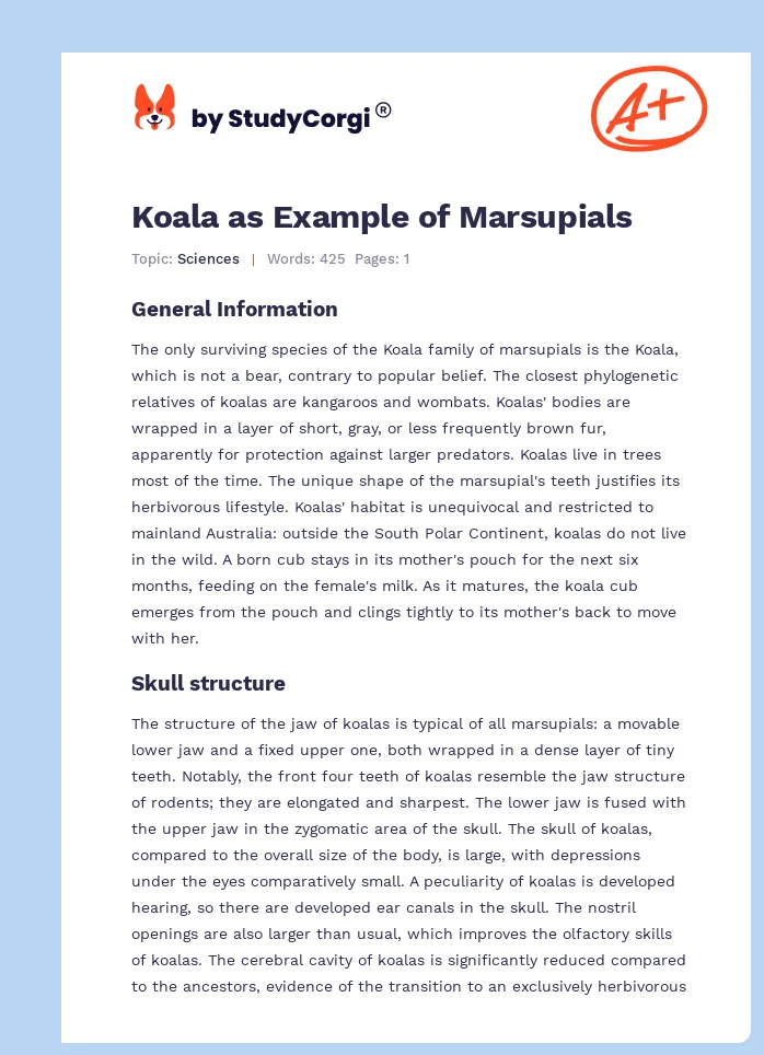 Koala as Example of Marsupials. Page 1