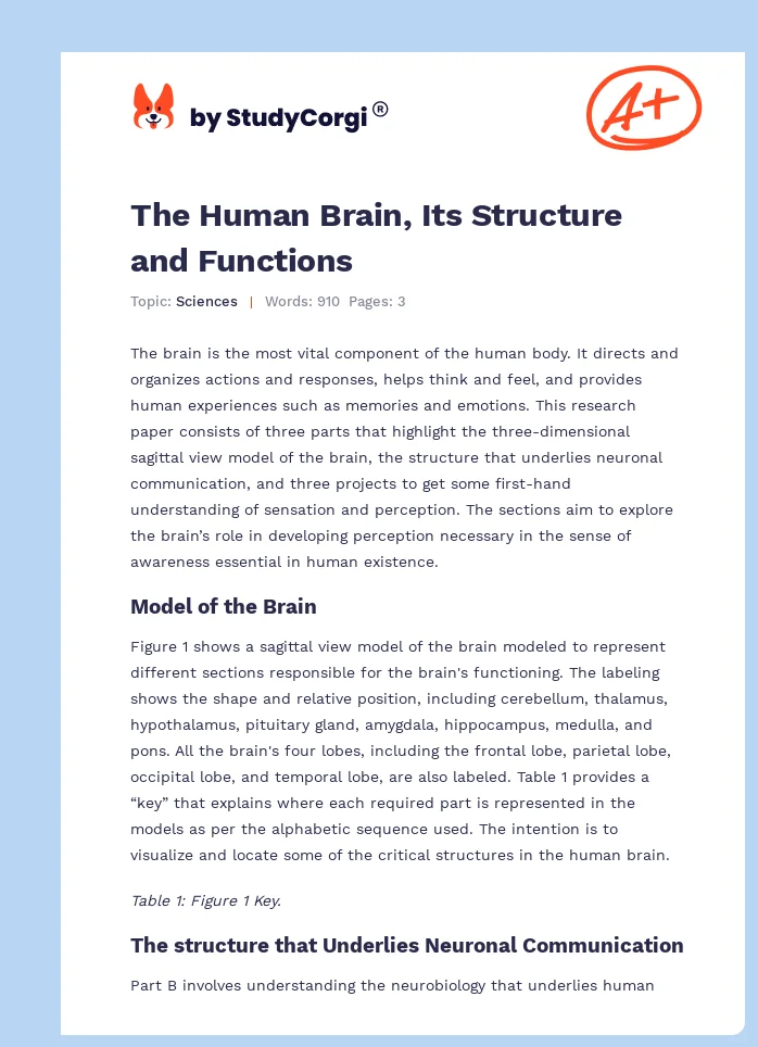 The Human Brain, Its Structure and Functions. Page 1