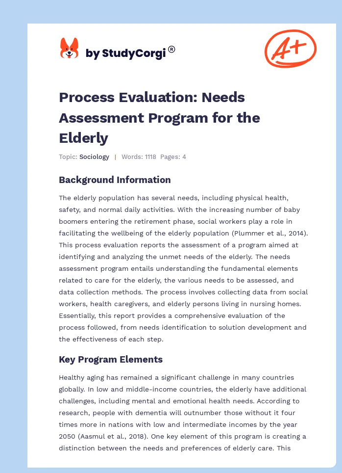 Process Evaluation: Needs Assessment Program for the Elderly. Page 1