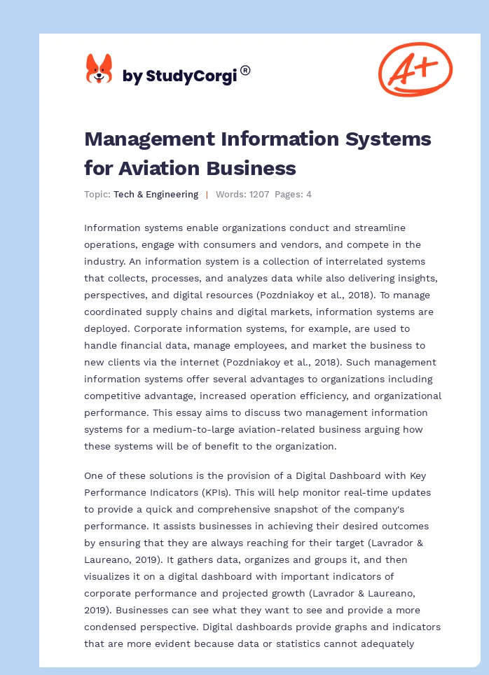 Management Information Systems for Aviation Business. Page 1