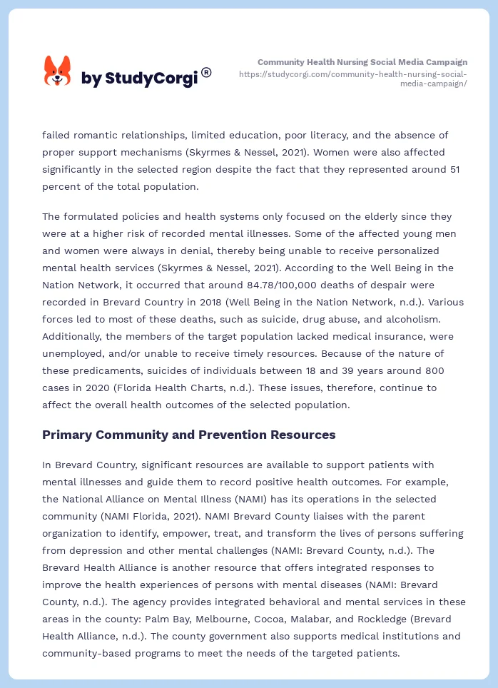 Community Health Nursing Social Media Campaign. Page 2