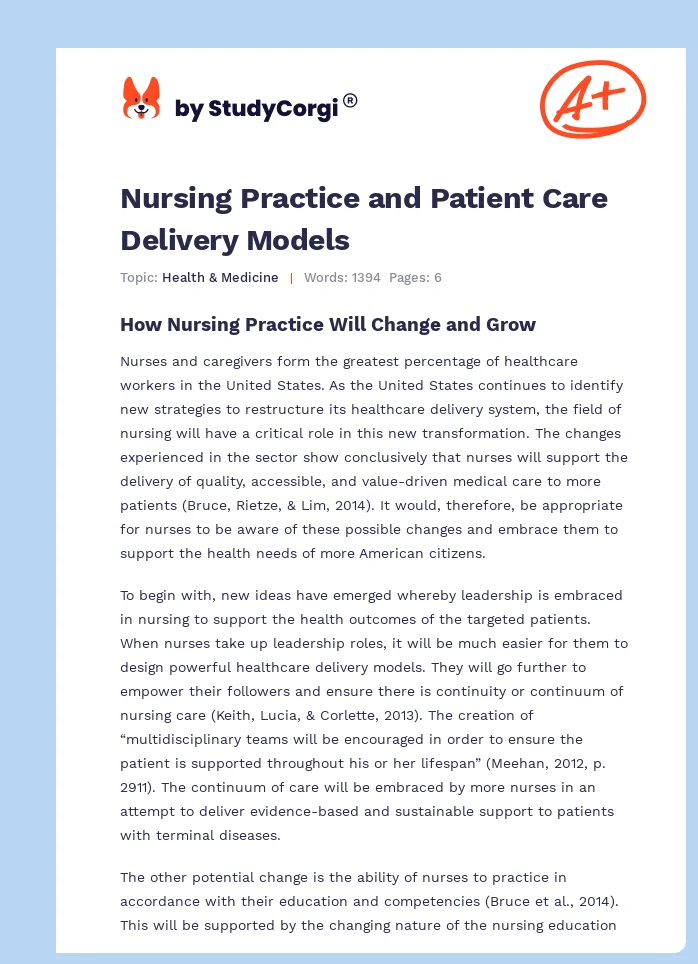 Nursing Practice and Patient Care Delivery Models. Page 1