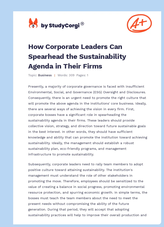 How Corporate Leaders Can Spearhead the Sustainability Agenda in Their Firms. Page 1
