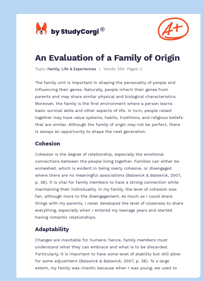 An Evaluation of a Family of Origin. Page 1