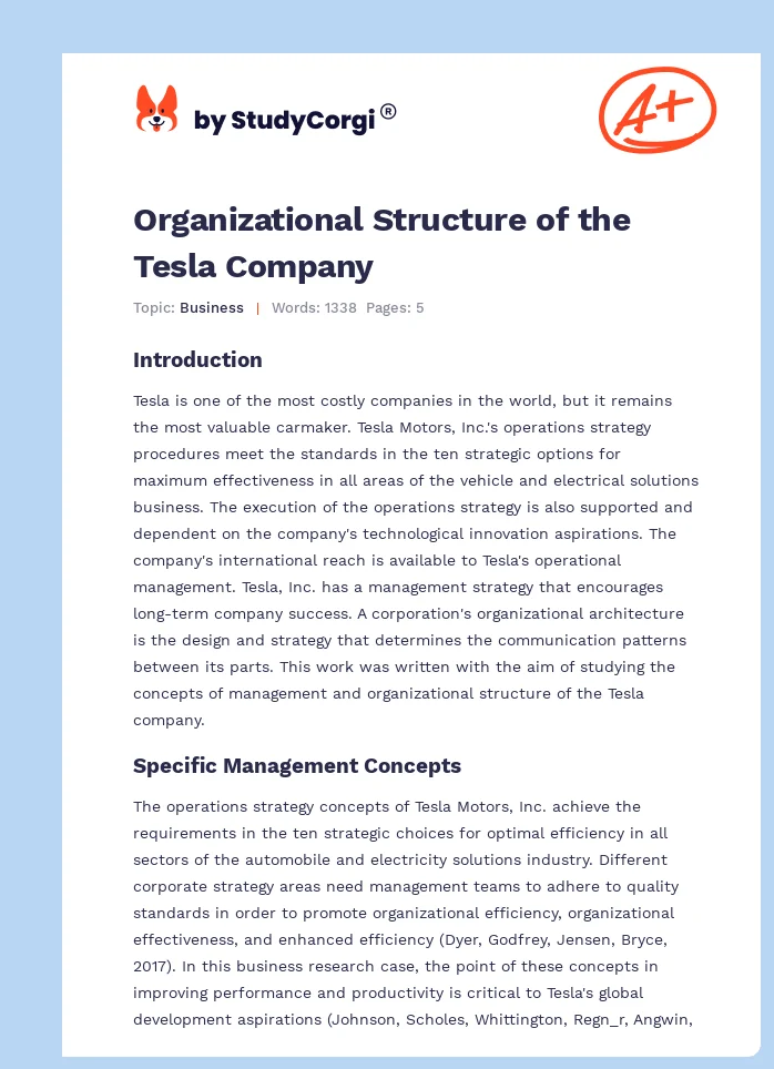 Organizational Structure of the Tesla Company. Page 1