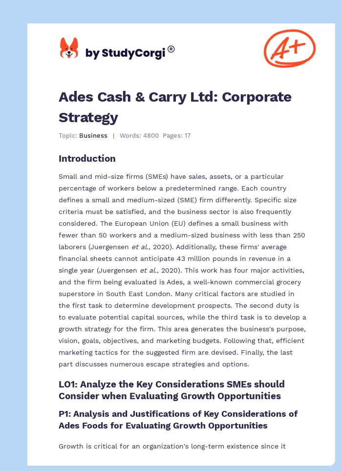 Ades Cash & Carry Ltd: Corporate Strategy. Page 1