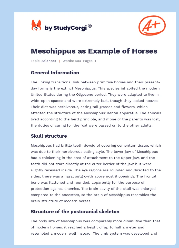 Mesohippus as Example of Horses. Page 1