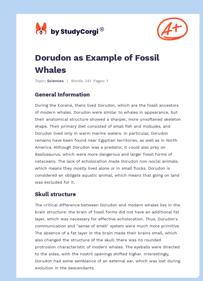Dorudon as Example of Fossil Whales. Page 1
