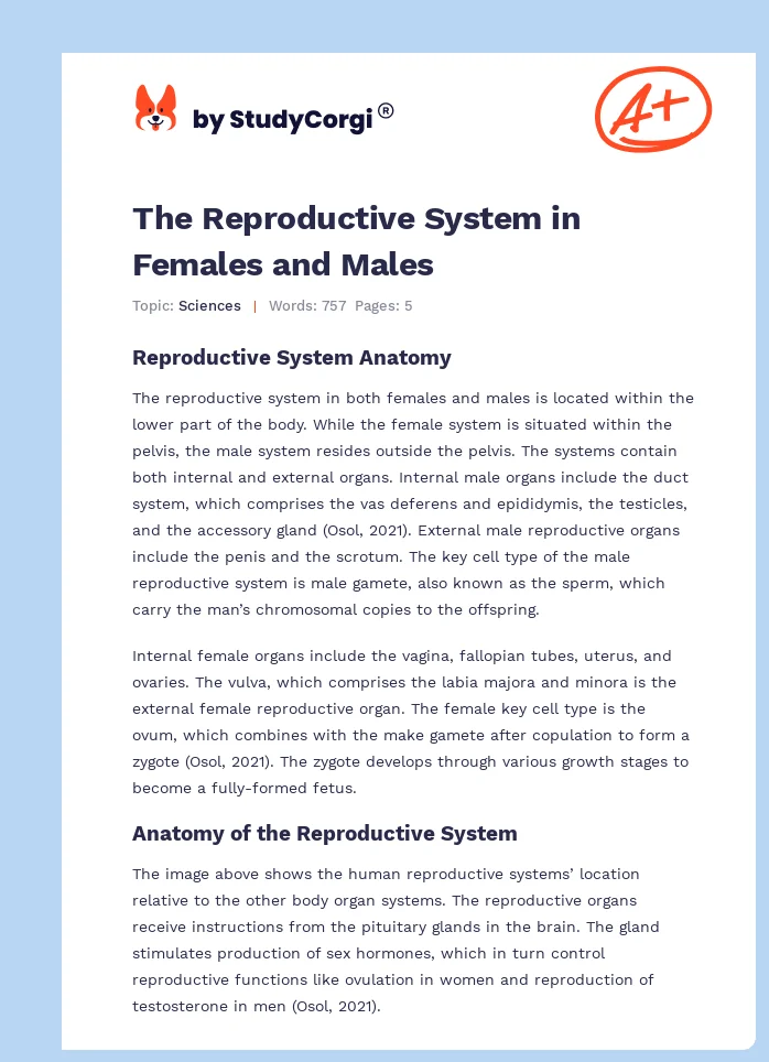 The Reproductive System in Females and Males. Page 1