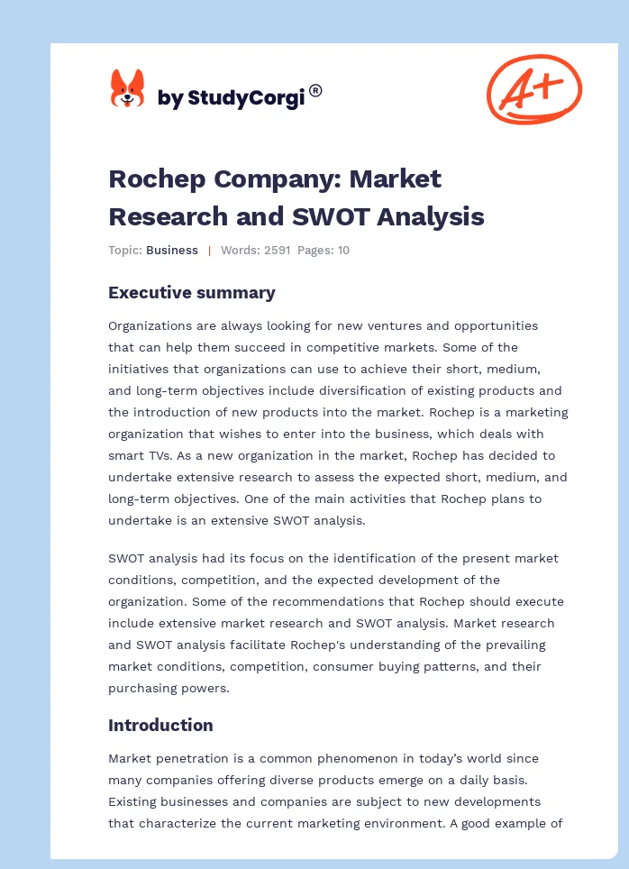 Rochep Company: Market Research and SWOT Analysis. Page 1