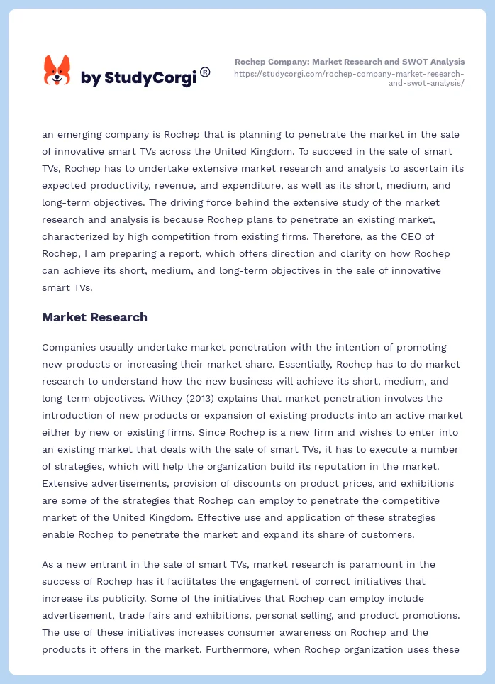 Rochep Company: Market Research and SWOT Analysis. Page 2