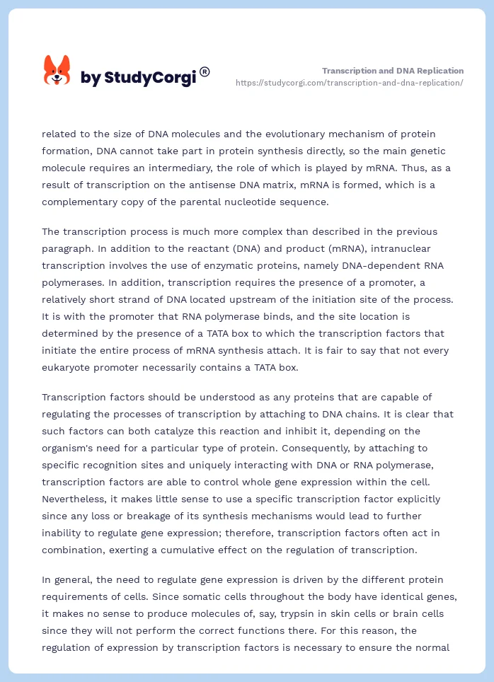 Transcription and DNA Replication. Page 2