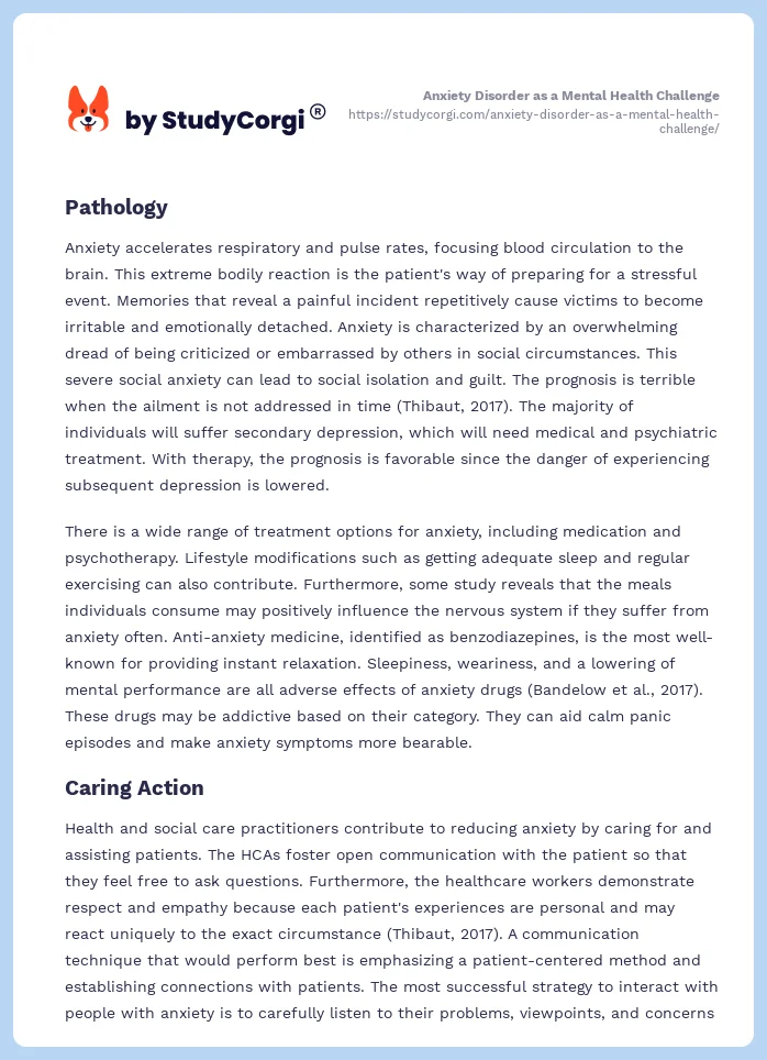 Anxiety Disorder as a Mental Health Challenge. Page 2