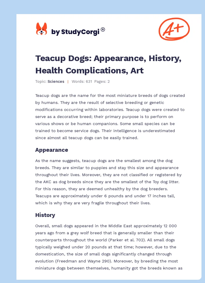 Teacup Dogs: Appearance, History, Health Complications, Art. Page 1