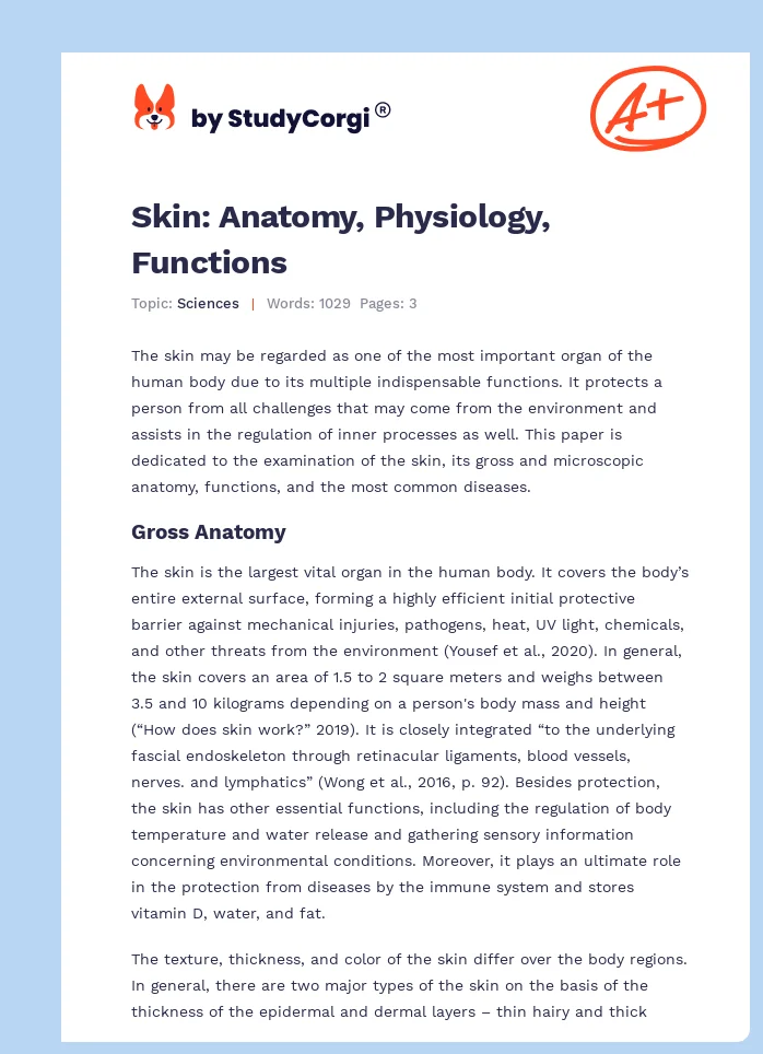 Skin: Anatomy, Physiology, Functions. Page 1