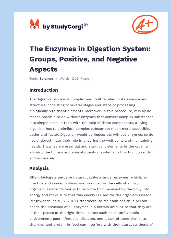 The Enzymes in Digestion System: Groups, Positive, and Negative Aspects. Page 1
