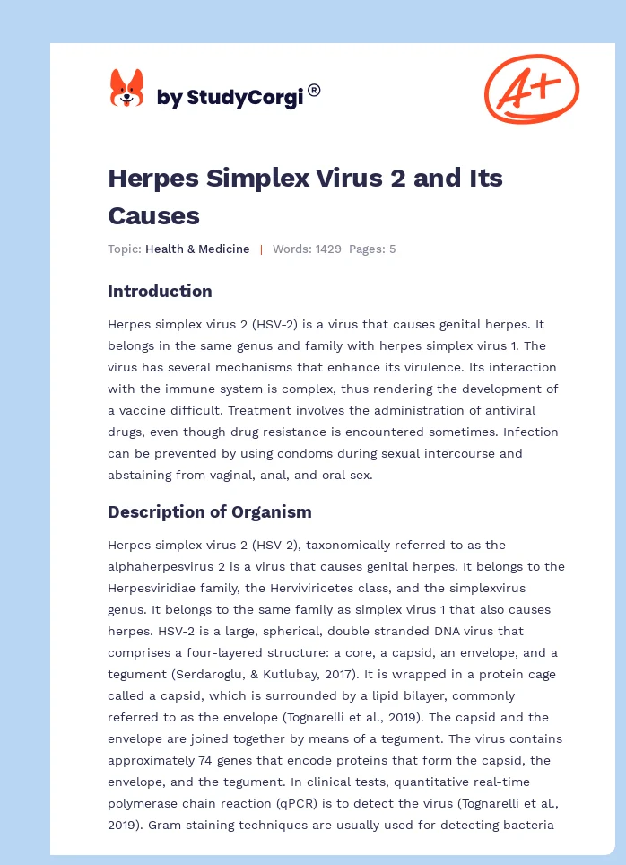 Herpes Simplex Virus 2 and Its Causes. Page 1
