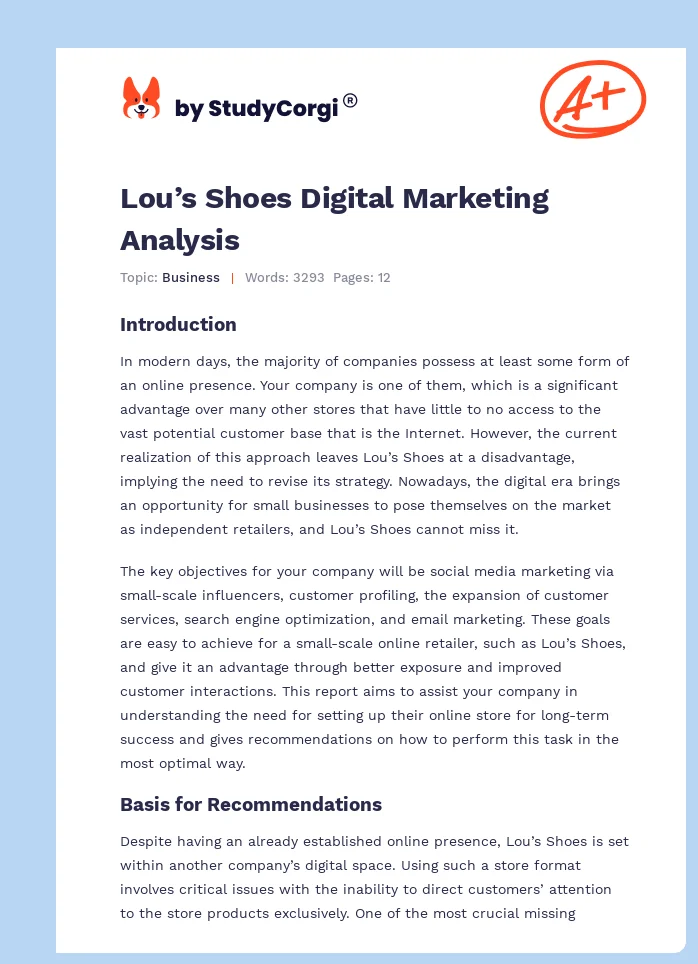 Lou’s Shoes Digital Marketing Analysis. Page 1