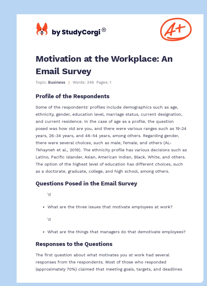 Motivation at the Workplace: An Email Survey. Page 1
