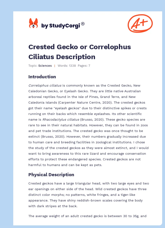 Crested Gecko or Correlophus Ciliatus Description. Page 1