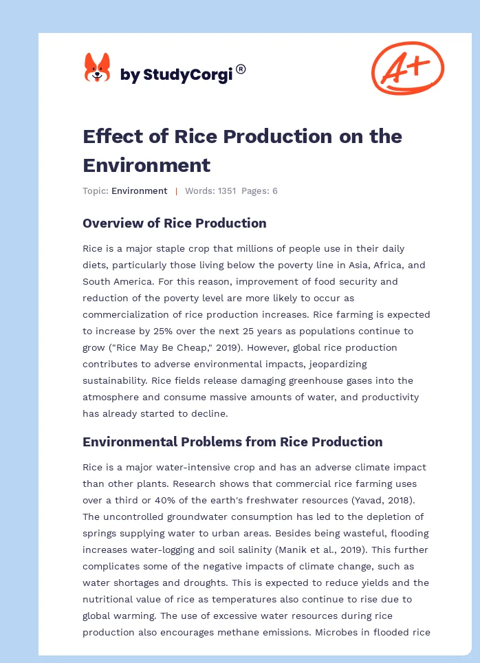 Rice Production and Its Impact on the Environment. Page 1