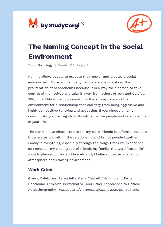 The Naming Concept in the Social Environment. Page 1