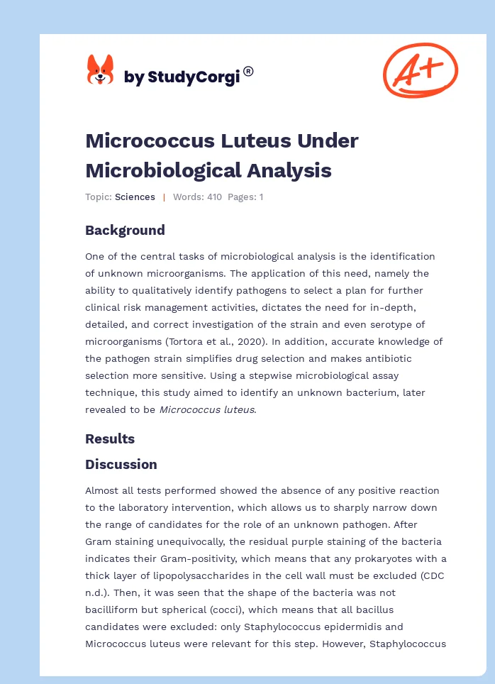 Micrococcus Luteus Under Microbiological Analysis. Page 1