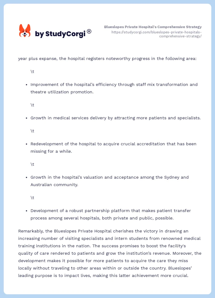 Blueslopes Private Hospital's Comprehensive Strategy. Page 2