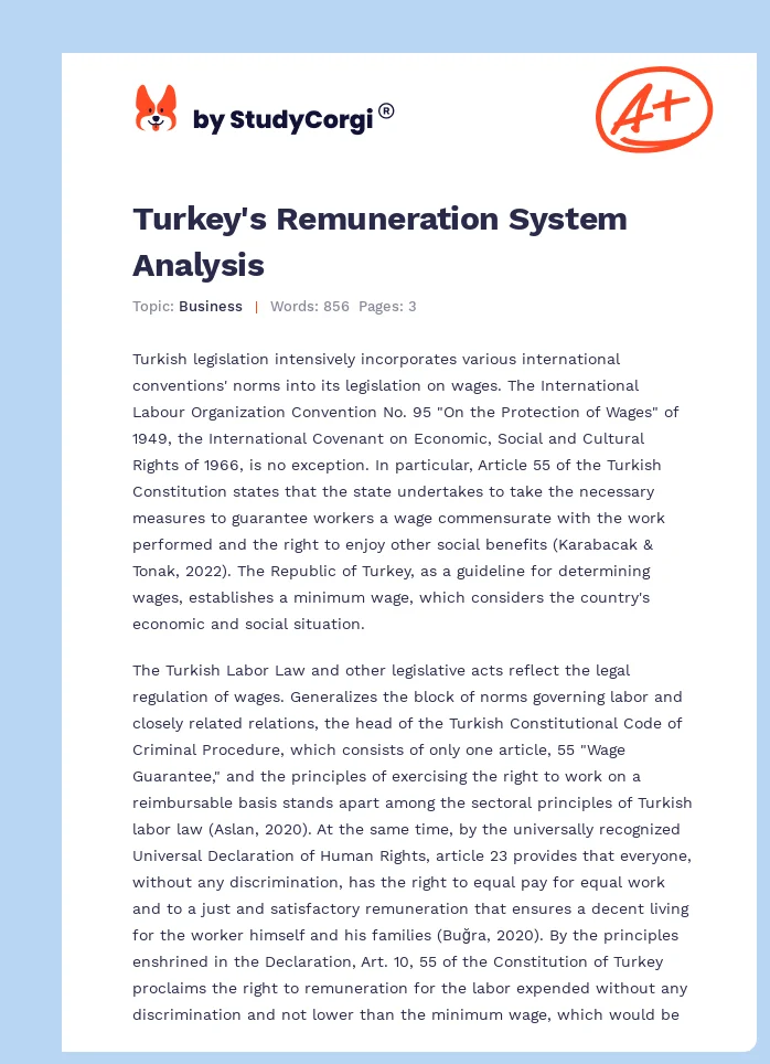 Turkey's Remuneration System Analysis. Page 1