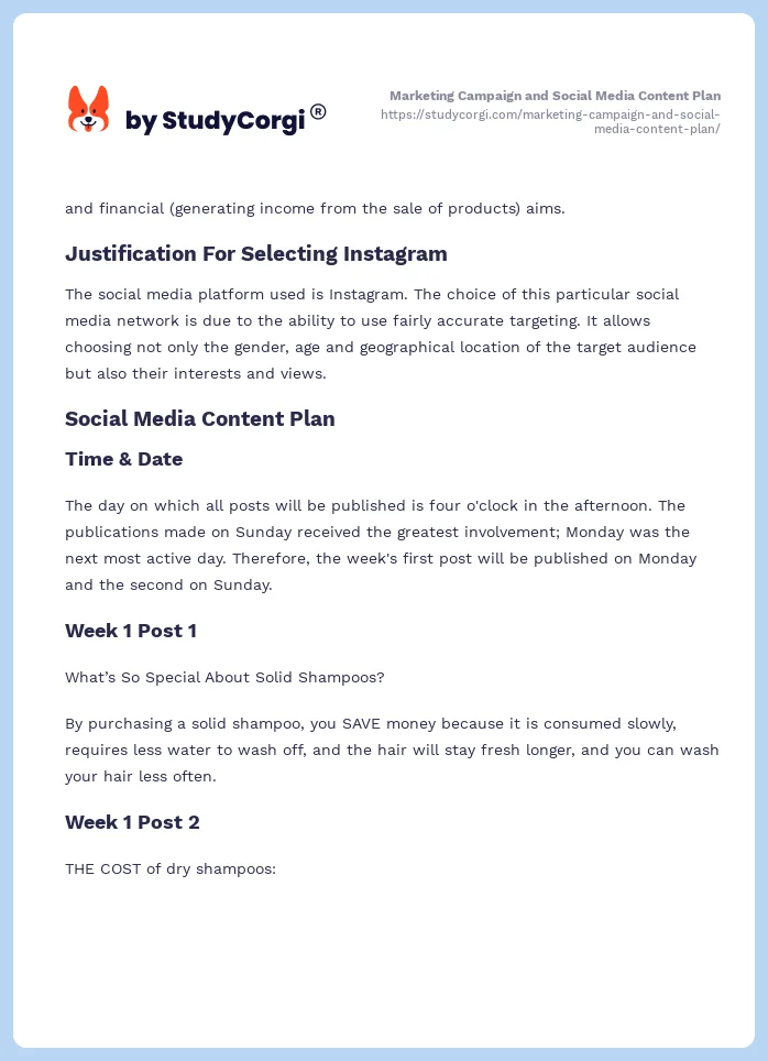 Marketing Campaign and Social Media Content Plan. Page 2