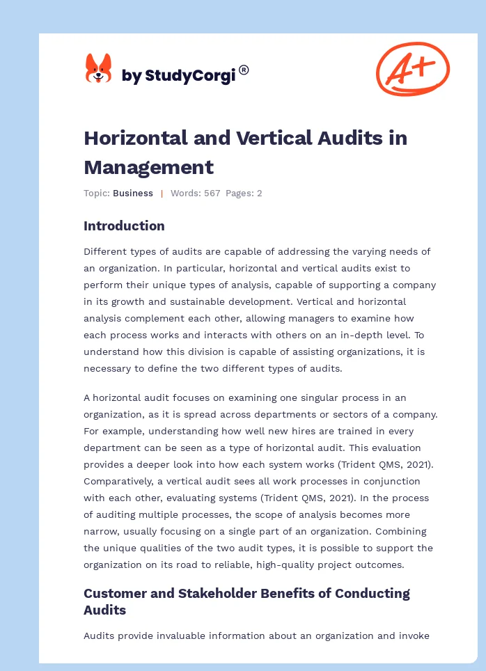 Horizontal and Vertical Audits in Management. Page 1