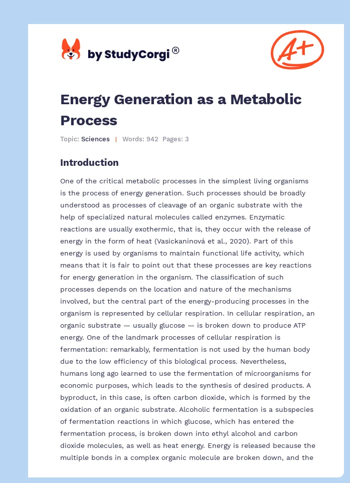 Energy Generation as a Metabolic Process. Page 1