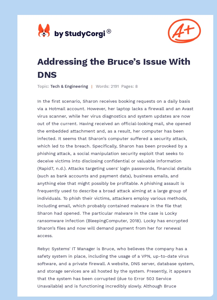 Addressing the Bruce’s Issue With DNS. Page 1
