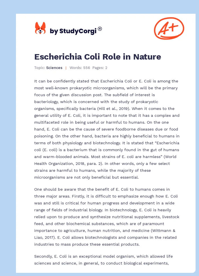 Escherichia Coli Role in Nature. Page 1
