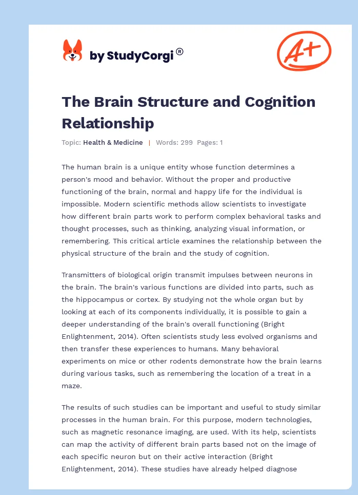 The Brain Structure and Cognition Relationship. Page 1