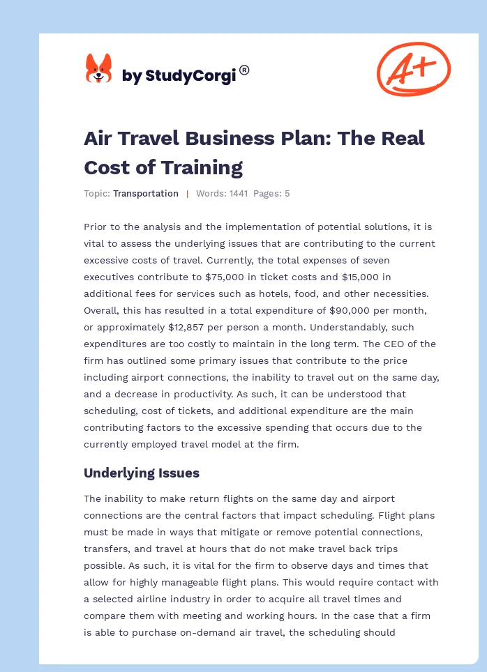 Air Travel Business Plan: The Real Cost of Training. Page 1