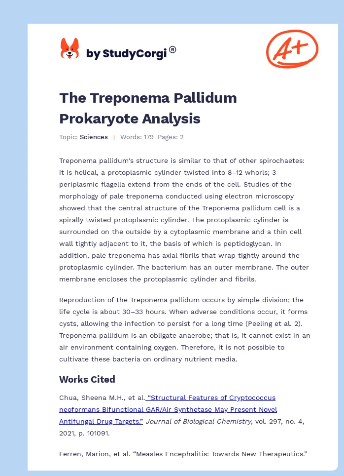 The Treponema Pallidum Prokaryote Analysis. Page 1