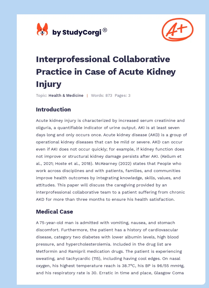 Interprofessional Collaborative Practice in Case of Acute Kidney Injury. Page 1