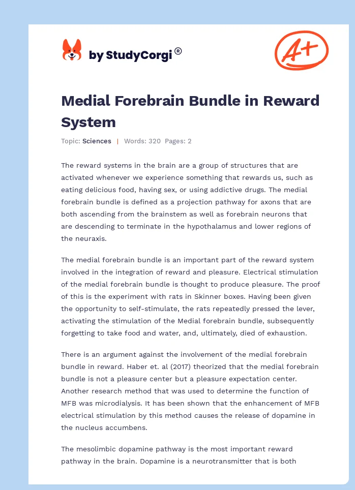 Medial Forebrain Bundle in Reward System. Page 1