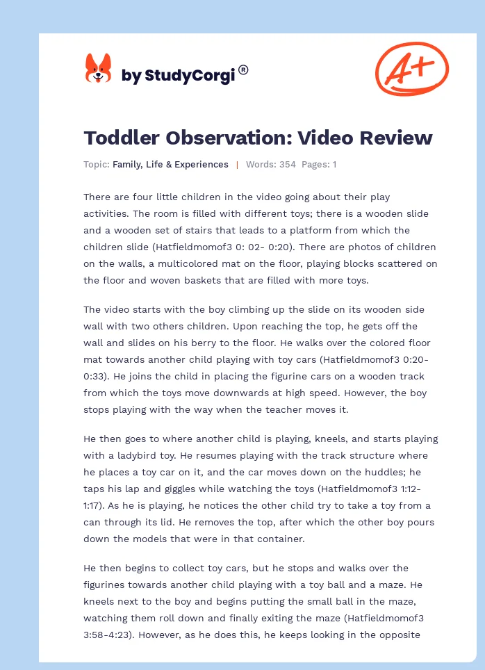 Toddler Observation: Video Review. Page 1