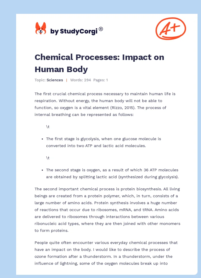 Chemical Processes: Impact on Human Body. Page 1