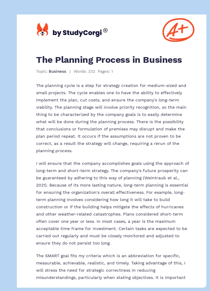 The Planning Process in Business. Page 1