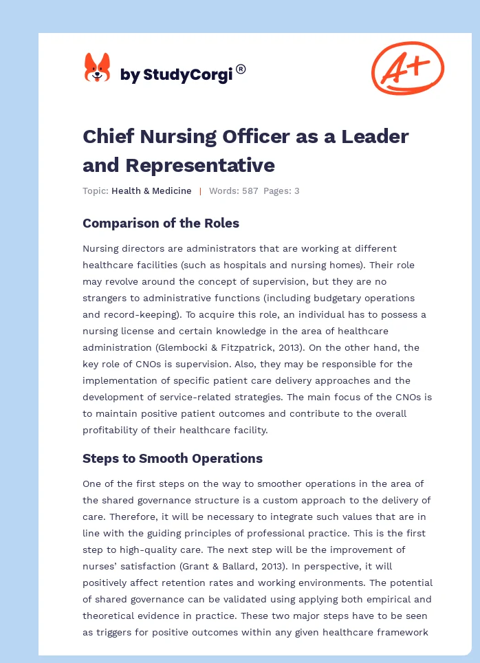 Chief Nursing Officer as a Leader and Representative. Page 1
