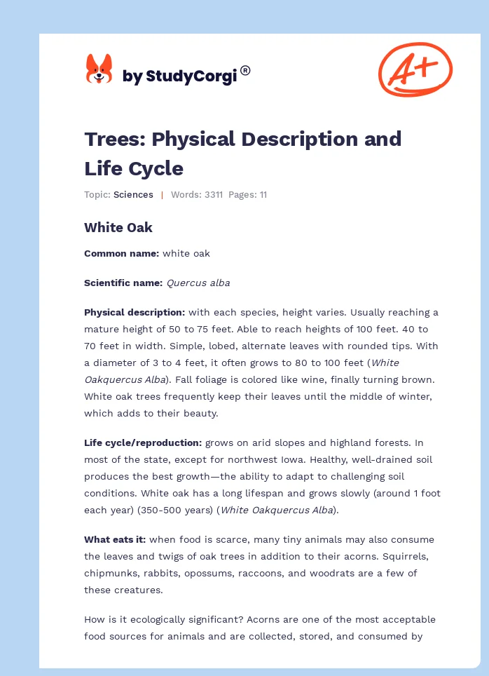 Trees: Physical Description and Life Cycle. Page 1