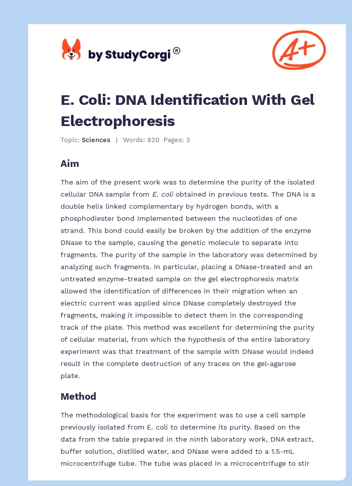 E. Coli: DNA Identification With Gel Electrophoresis. Page 1