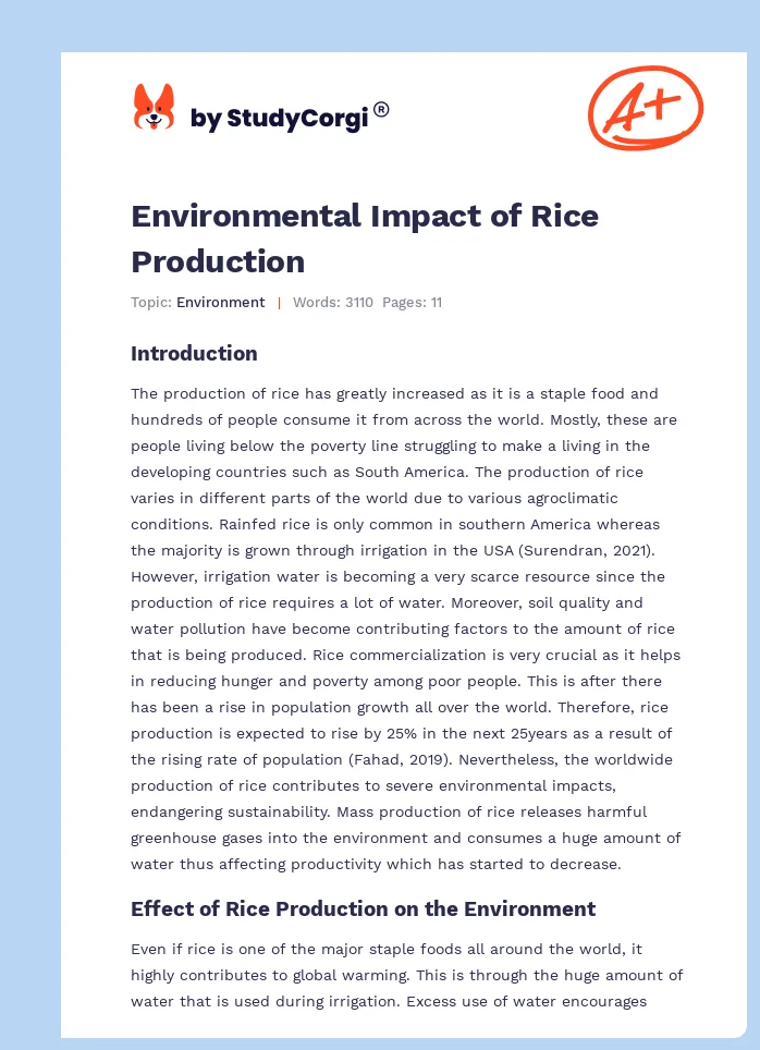 Environmental Impact of Rice Production. Page 1